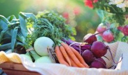 娱乐吃瓜酱四川眉山,眉山美食之旅