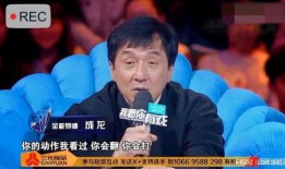 嘎子爆料王宝强视频在线观看,揭秘王宝强视频在线观看背后的故事