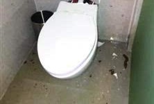 马桶人最新爆料,娱乐圈惊天内幕大曝光！