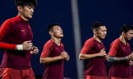 郑磊最新爆料视频播放,事件真相再引热议