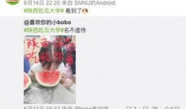 西南大学生吃瓜爆料视频,校园生活趣味横生，视频揭秘学生日常