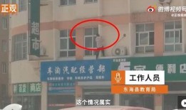 德辉学校爆料视频最新版,揭秘校园内幕，真相令人震惊