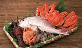 大拿海鲜爆料视频,海鲜界的幕后真相大曝光！