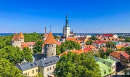 爱沙尼亚最新爆料视频,惊人内幕曝光