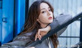 杨紫任嘉伦娱乐爆料视频,揭秘幕后故事与精彩瞬间