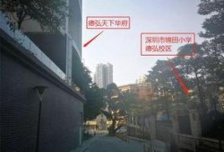 深圳罗湖教育局最新爆料,揭秘教育改革新举措与未来展望