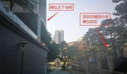 深圳罗湖教育局最新爆料,揭秘教育改革新举措与未来展望