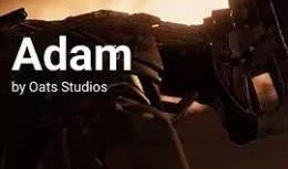 亚当 镜子 在线观看,揭秘虚拟世界的真实面纱