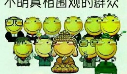 娱乐吃瓜群众模板下载,揭秘明星背后的故事，带你领略明星们的真实生活