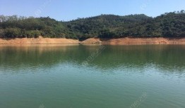 三坑水库爆料最新消息今天,最新爆料揭示惊人真相！”