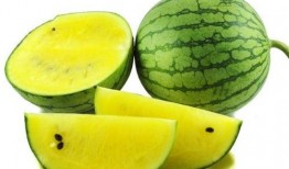 网红旅游吃瓜走红图片高清,高清图片揭秘网红美食之旅