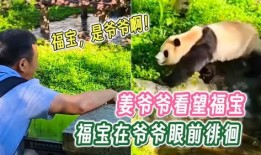 福宝爷爷的爆料视频在线观看,揭秘幕后真相，带你走进神秘世界