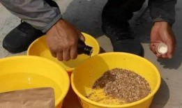 爆料黑坑饵料视频,视频爆料揭示钓鱼高手秘籍