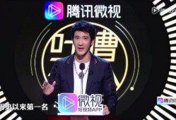 王力宏哥哥爆料视频,揭秘王力宏背后鲜为人知的家庭故事