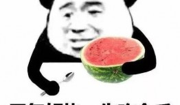 718娱乐你我她吃瓜官网,揭秘你我她吃瓜官网，畅享娱乐盛宴