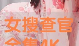 搜查官在线观看手机,揭秘网络追踪背后的惊险故事