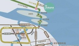 中动玩具最新爆料新闻,神秘新品即将亮相，颠覆传统玩具市场