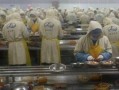 剥虾工人爆料视频播放,揭秘海鲜加工行业背后的辛酸与真相
