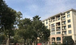 武汉银河湾小区最新爆料,揭秘神秘事件背后的真相