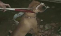 比特最新爆料消息新闻,最新科技动态揭秘，带你领略前沿科技魅力！”