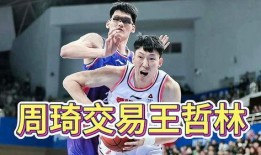 王哲林爆料视频大全最新,揭秘篮球巨星背后的故事与瞬间