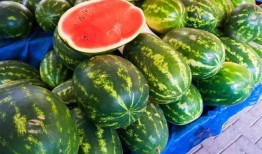 吃瓜免费地址,免费吃瓜地址大公开，畅享美食新体验！