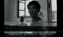 玉山网友爆料案件真相视频,视频揭露惊人内幕