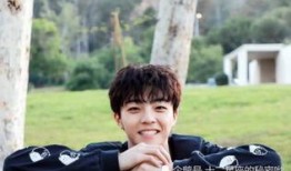 狗仔爆料陈立农视频,狗仔偷拍事件引发热议