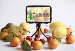 巧克力拿货爆料视频播放