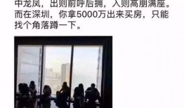 深圳沈先生最新爆料,揭秘事件背后惊人真相