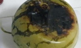 暗黑免费吃瓜在线大全翻