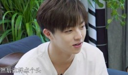 狗仔爆料陈立农视频,狗仔偷拍事件引发热议