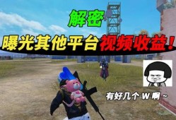007号爆料视频,独家内幕大公开
