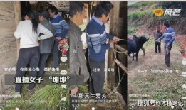 大凉山网红爆料视频大全,揭秘神秘山区的真实生活