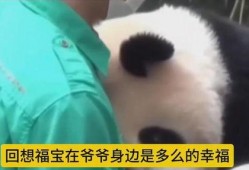 福宝爷爷的爆料视频在线观看,揭秘幕后真相，带你走进神秘世界