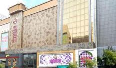 朝阳区桂林路最新爆料,最新爆料带你探秘网红新地标