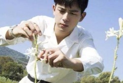 圈内真实爆料杨紫李现,幕后故事曝光引热议