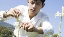 圈内真实爆料杨紫李现,幕后故事曝光引热议