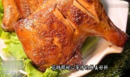 爆料碳烤大鹅视频大全下载,美味佳肴尽收眼底