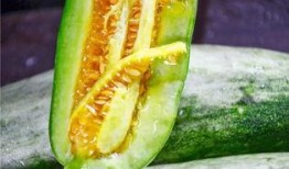 网红吃自己瓜,揭秘网络红人的真实生活