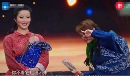 最新爆料袁立视频,揭秘背后惊人真相