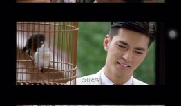 盛势在线全集在线观看