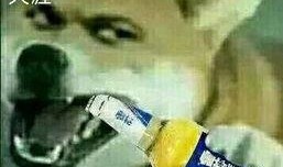 大哥爆料啤酒制作视频大全,大哥爆料视频大全全解析