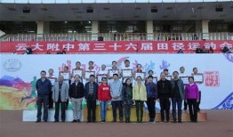 云大附中最新爆料事件,揭秘校园事件背后真相