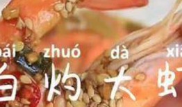 美食爆料热点视频大全最新,热门视频大盘点，舌尖上的美味盛宴