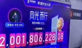 最新辛巴直播爆料,最新行业动态与独家爆料