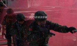 西藏警察爆料案件视频播放,视频内容引发社会关注