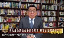 台湾官员爆料视频,揭秘两岸关系内幕！”
