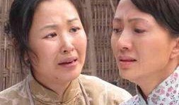 苦菜花电视剧在线观看,抗战岁月里的家国情怀