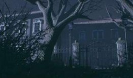 恐怖手游4最新爆料,暗潮汹涌，惊悚元素全面升级，揭秘神秘新世界